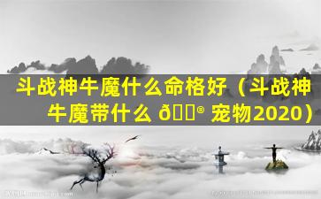斗战神牛魔什么命格好（斗战神牛魔带什么 💮 宠物2020）